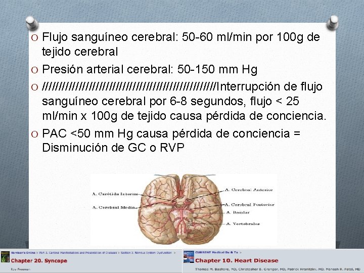 O Flujo sanguíneo cerebral: 50 -60 ml/min por 100 g de tejido cerebral O