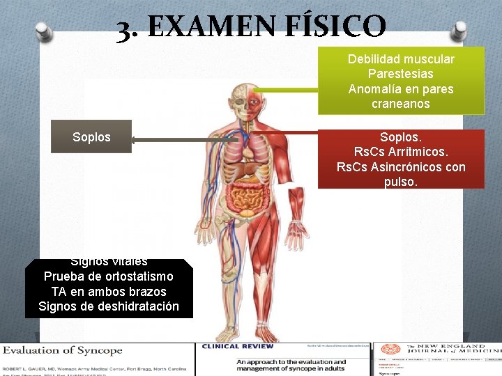 3. EXAMEN FÍSICO Debilidad muscular Parestesias Anomalía en pares craneanos Soplos Signos vitales Prueba