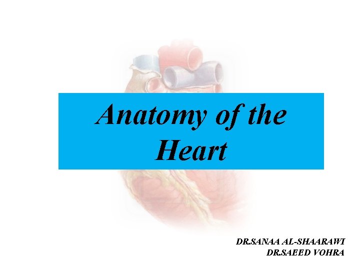 Anatomy of the Heart DR. SANAA AL-SHAARAWI DR. SAEED VOHRA 