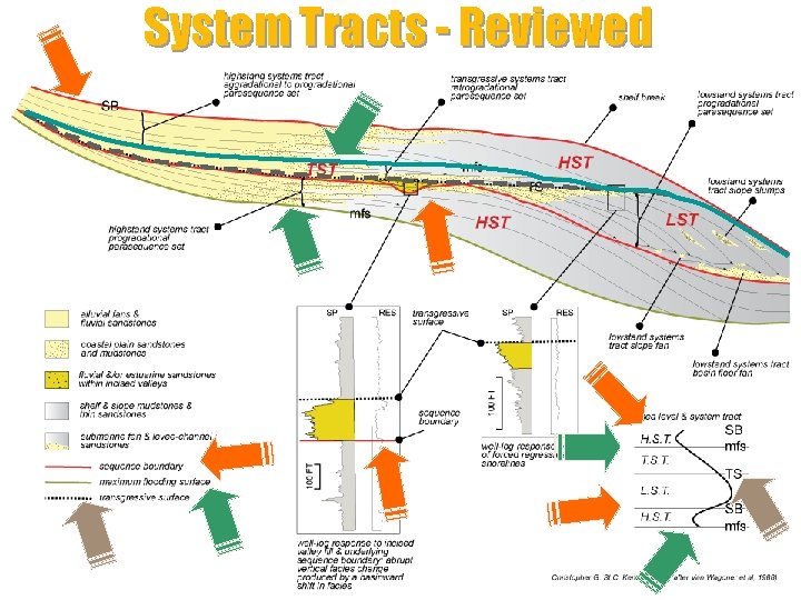 System Tracts - Reviewed Sequence Stratigraphy Defined 