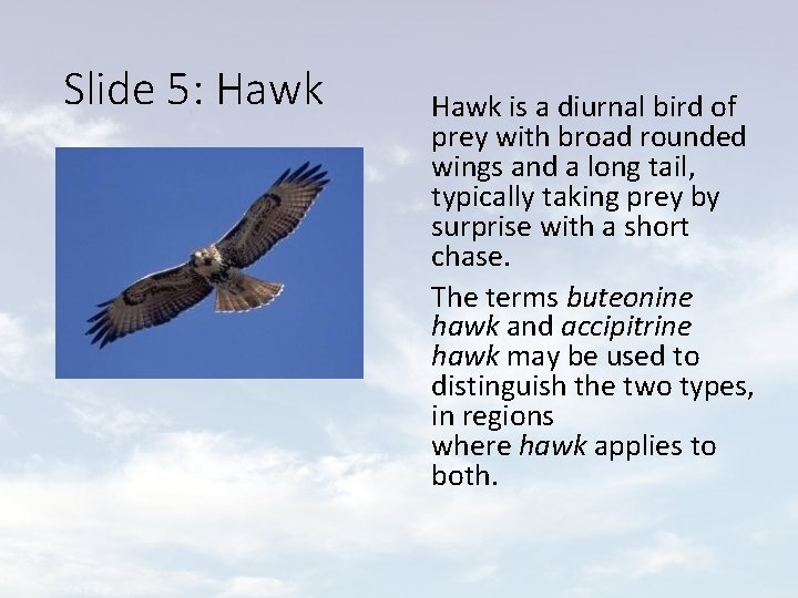 Animals Test presentation with Custom Slideshows To learn