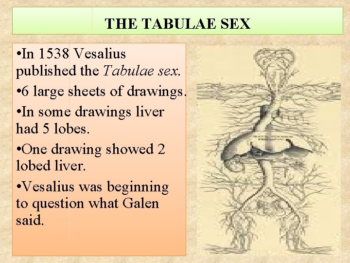 THE TABULAE SEX • In 1538 Vesalius published the Tabulae sex. • 6 large