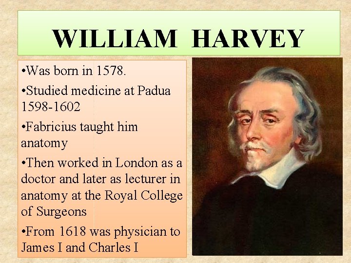 WILLIAM HARVEY • Was born in 1578. • Studied medicine at Padua 1598 -1602