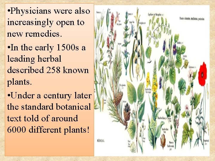  • Physicians were also increasingly open to new remedies. • In the early