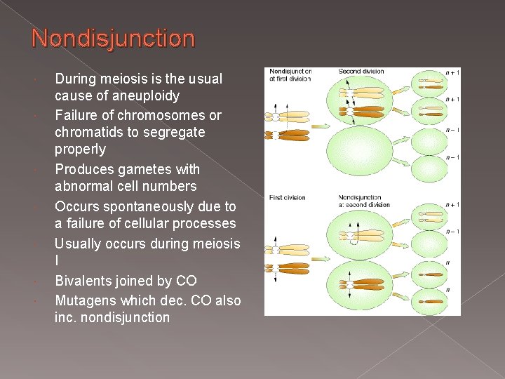 Nondisjunction During meiosis is the usual cause of aneuploidy Failure of chromosomes or chromatids