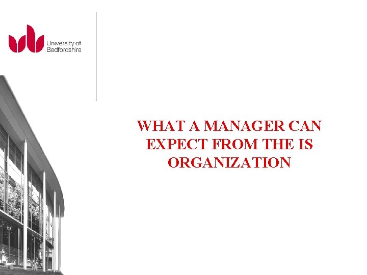 WHAT A MANAGER CAN EXPECT FROM THE IS ORGANIZATION 