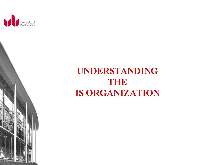UNDERSTANDING THE IS ORGANIZATION 