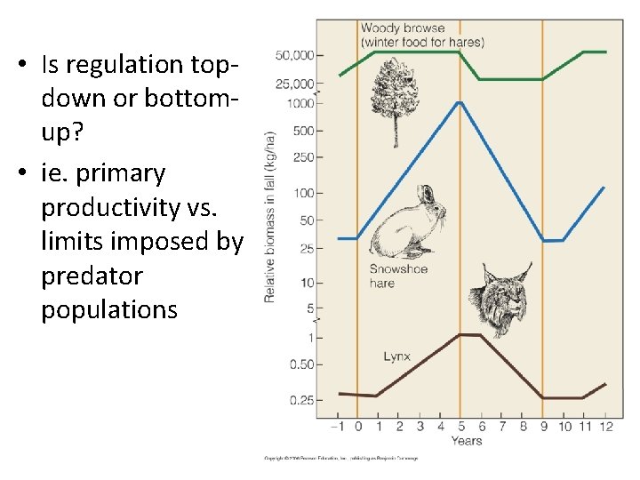  • Is regulation topdown or bottomup? • ie. primary productivity vs. limits imposed