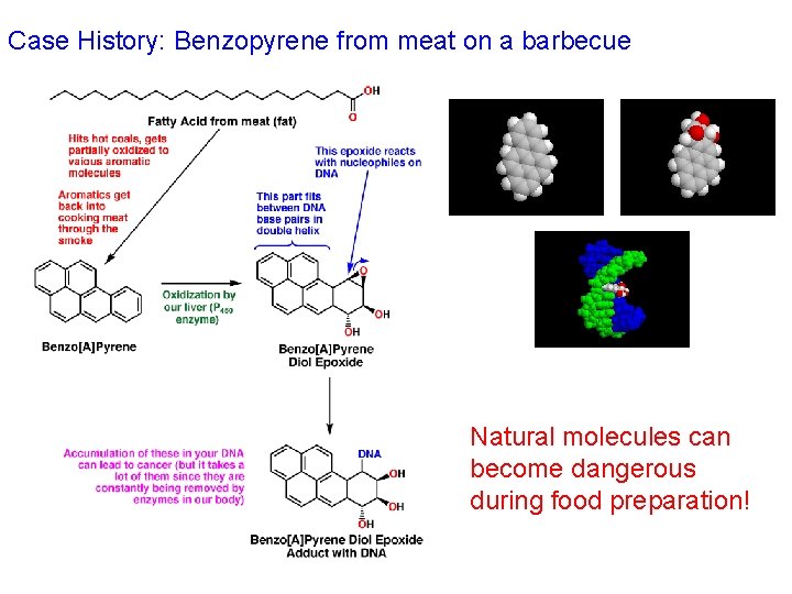 Case History: Benzopyrene from meat on a barbecue Natural molecules can become dangerous during