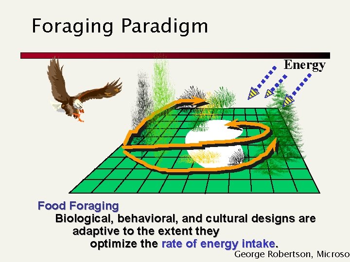 Foraging Paradigm Energy Food Foraging Biological, behavioral, and cultural designs are adaptive to the