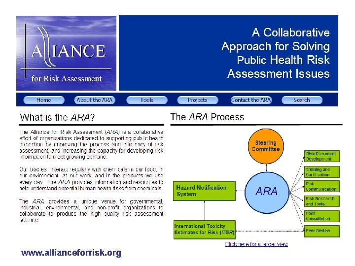 www. allianceforrisk. org www. allianceforrisk. org