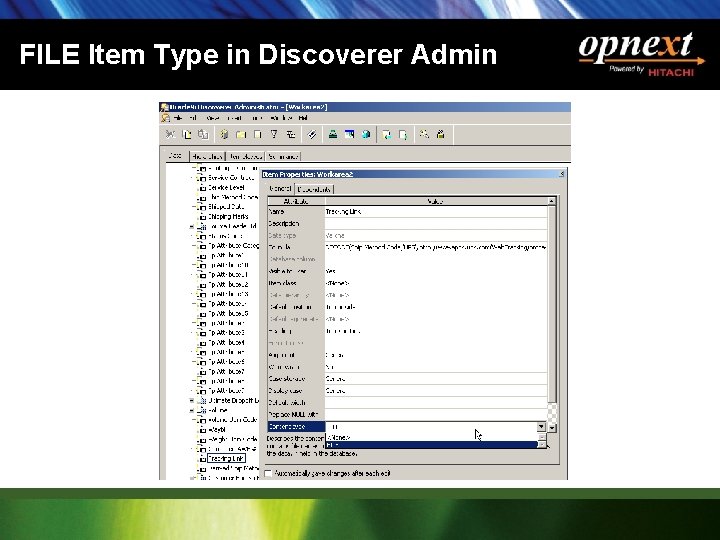 FILE Item Type in Discoverer Admin 