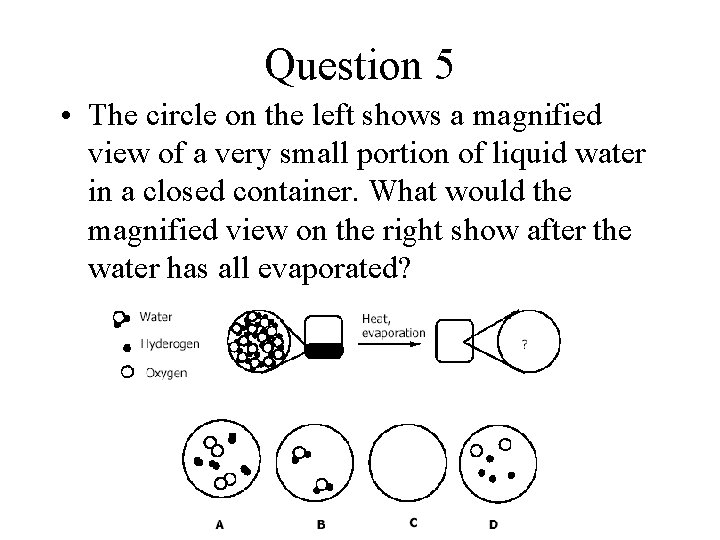 Question 5 • The circle on the left shows a magnified view of a