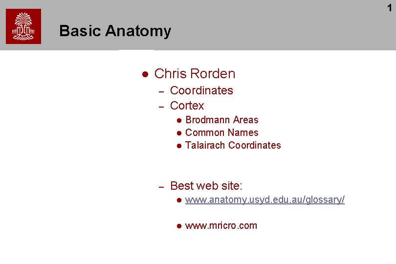 1 Basic Anatomy l Chris Rorden – – Coordinates Cortex l l l –