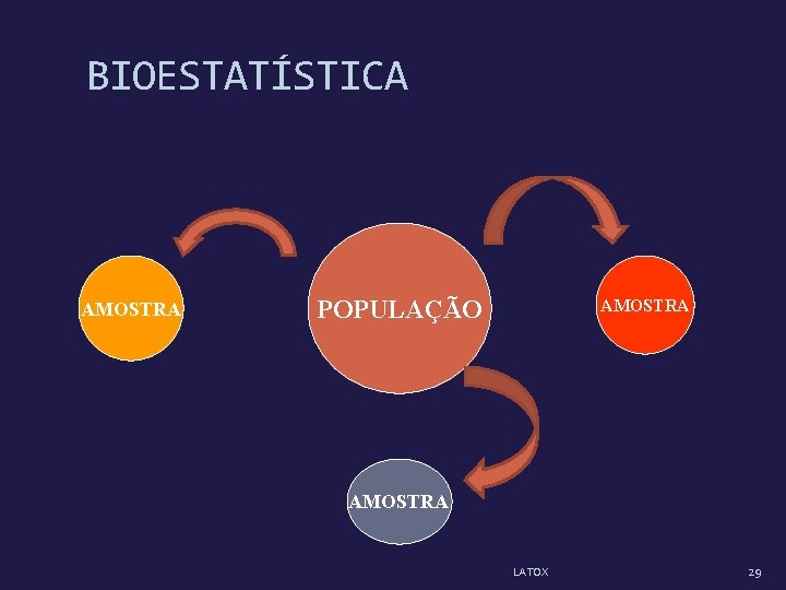 BIOESTATÍSTICA AMOSTRA POPULAÇÃO AMOSTRA LATOX 29 BIOESTATÍSTICA AMOSTRA POPULAÇÃO AMOSTRA LATOX 29