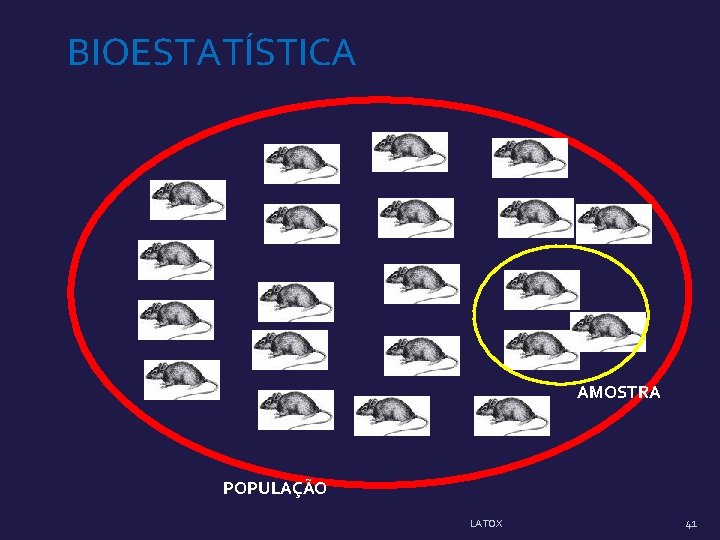 BIOESTATÍSTICA AMOSTRA POPULAÇÃO LATOX 41 