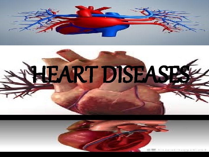 HEART DISEASES HEART DISEASES