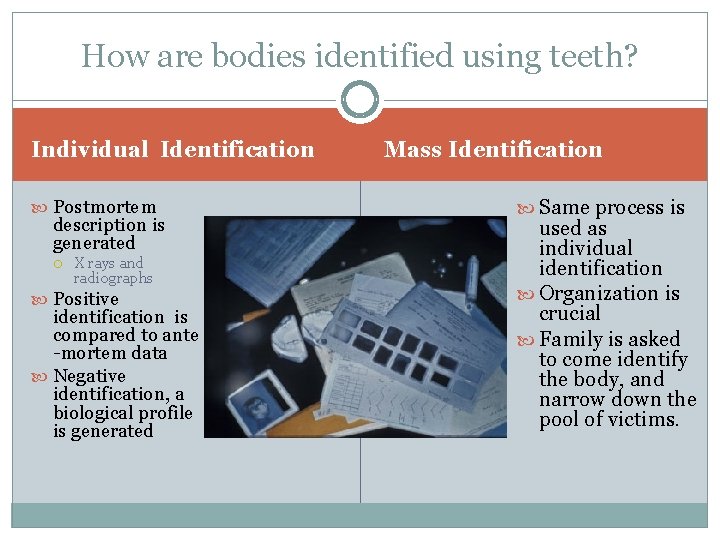 How are bodies identified using teeth? Individual Identification Postmortem description is generated X rays