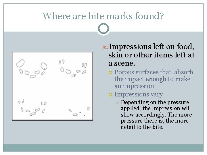 Where are bite marks found? Impressions left on food, skin or other items left