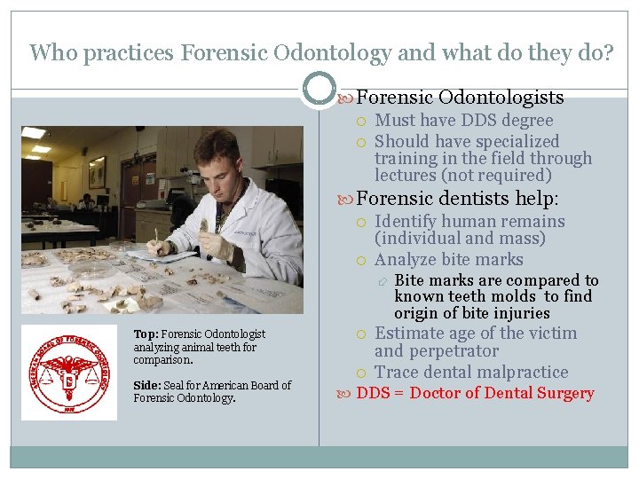 Who practices Forensic Odontology and what do they do? Forensic Odontologists Must have DDS