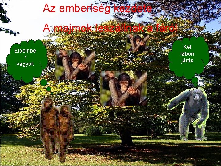 Az emberiség kezdete A majmok leszállnak a fáról Előembe r vagyok Két lábon járás