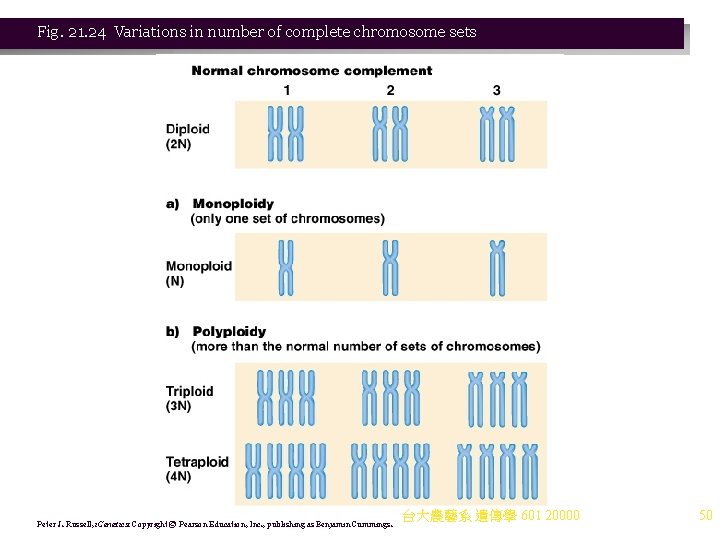 Fig. 21. 24 Variations in number of complete chromosome sets Peter J. Russell, i.