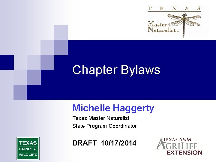 Chapter Bylaws Michelle Haggerty Texas Master Naturalist State Program Coordinator DRAFT 10/17/2014 