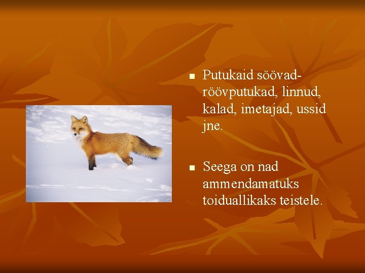 n n Putukaid söövadröövputukad, linnud, kalad, imetajad, ussid jne. Seega on nad ammendamatuks toiduallikaks