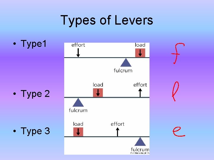 Types of Levers • Type 1 • Type 2 • Type 3 