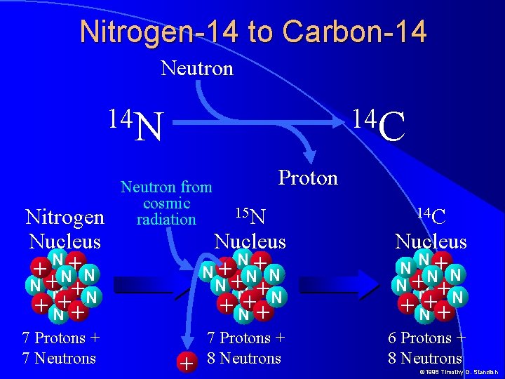 Nitrogen-14 to Carbon-14 Neutron 14 N Nitrogen Nucleus N+ ++N N + N +