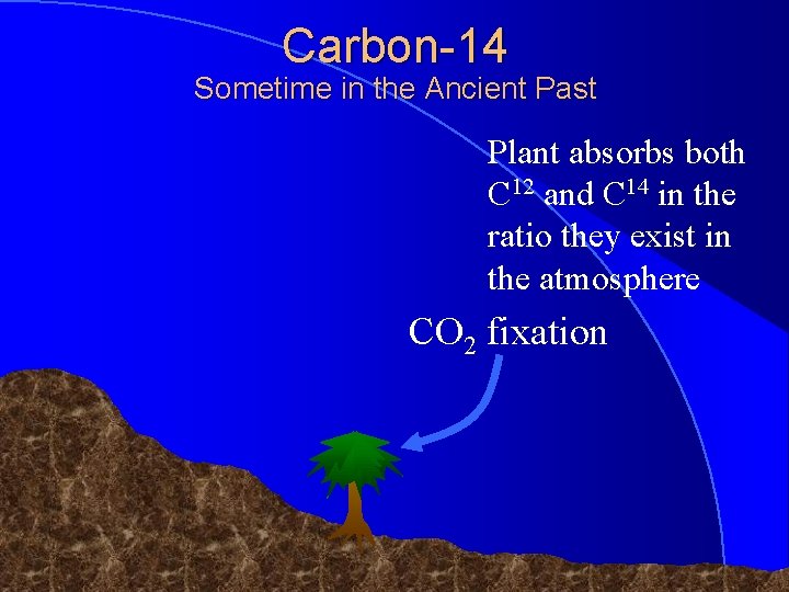 Carbon-14 Sometime in the Ancient Past Plant absorbs both C 12 and C 14