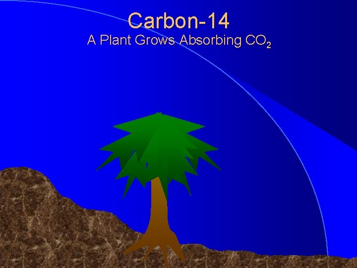 Carbon-14 A Plant Grows Absorbing CO 2 © 1998 Timothy G. Standish 