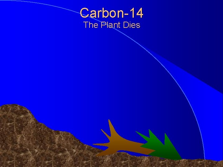 Carbon-14 The Plant Dies © 1998 Timothy G. Standish 
