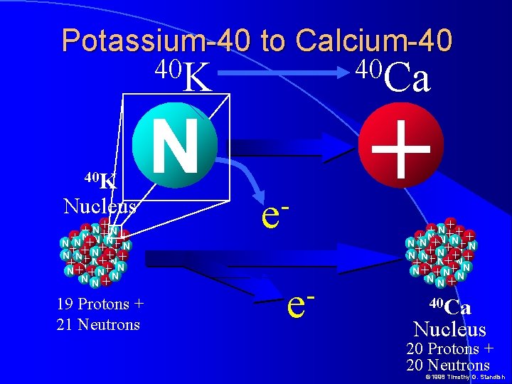 Potassium-40 to Calcium-40 40 K Nucleus +N N+ + + +N N N +N