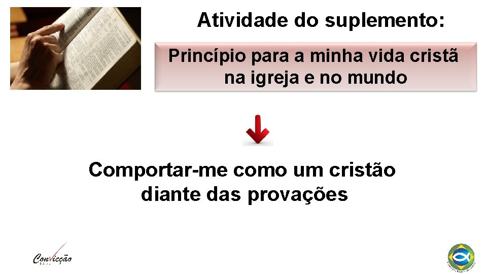 Atividade do suplemento: Princípio para a minha vida cristã na igreja e no mundo