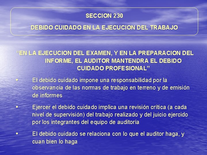 SECCION 230 DEBIDO CUIDADO EN LA EJECUCION DEL TRABAJO “EN LA EJECUCION DEL EXAMEN, SECCION 230 DEBIDO CUIDADO EN LA EJECUCION DEL TRABAJO “EN LA EJECUCION DEL EXAMEN,