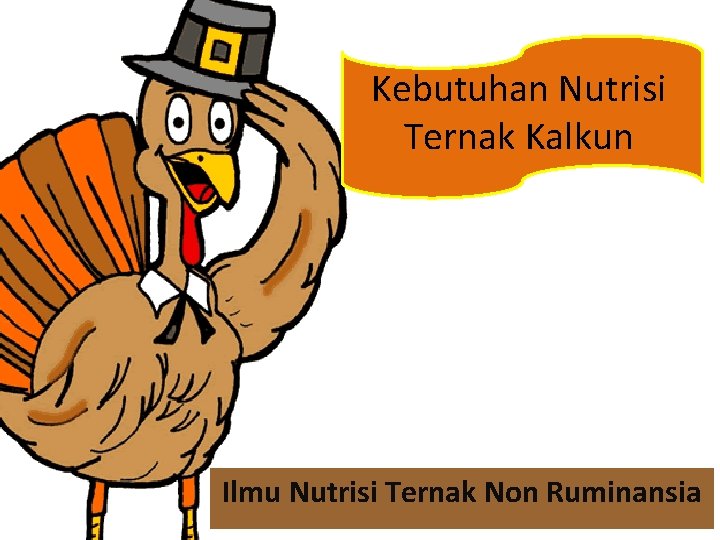 Kebutuhan Nutrisi Ternak Kalkun Ilmu Nutrisi Ternak Non Ruminansia 