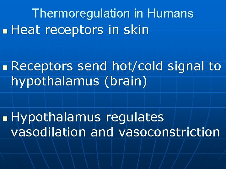 Thermoregulation in Humans n Heat receptors in skin n n Receptors send hot/cold signal