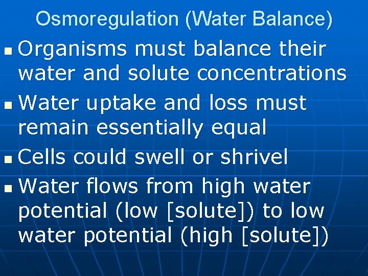 Osmoregulation (Water Balance) n Organisms must balance their water and solute concentrations n Water