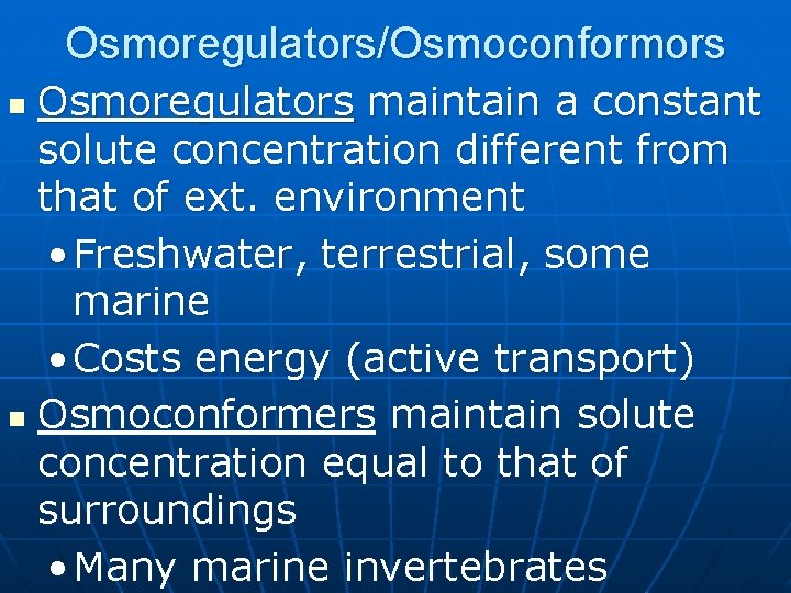 Osmoregulators/Osmoconformors Osmoregulators maintain a constant solute concentration different from that of ext. environment •
