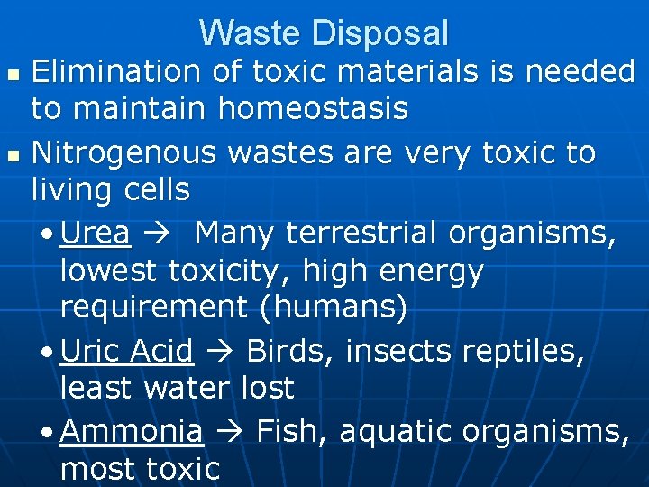 Waste Disposal n n Elimination of toxic materials is needed to maintain homeostasis Nitrogenous