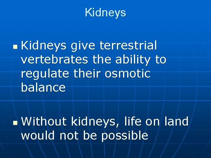 Kidneys n n Kidneys give terrestrial vertebrates the ability to regulate their osmotic balance