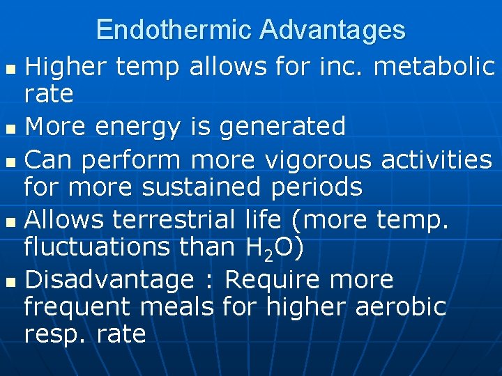 Endothermic Advantages Higher temp allows for inc. metabolic rate n More energy is generated