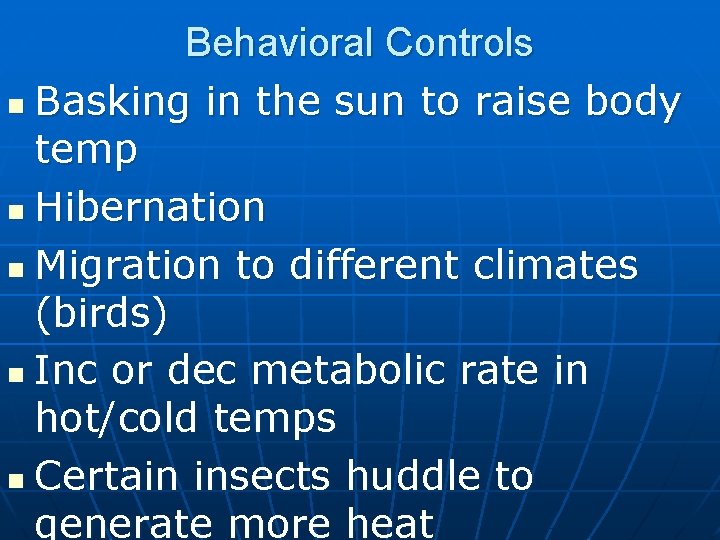 Behavioral Controls n Basking in the sun to raise body temp n Hibernation n