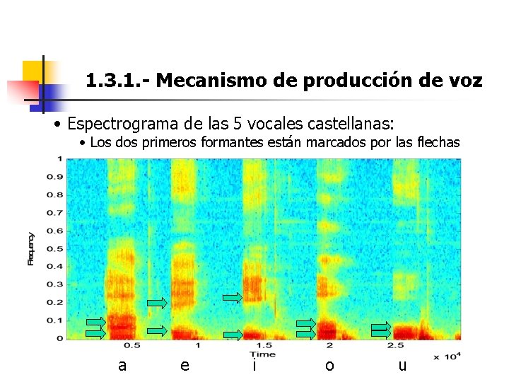 1. 3. 1. - Mecanismo de producción de voz • Espectrograma de las 5 1. 3. 1. - Mecanismo de producción de voz • Espectrograma de las 5