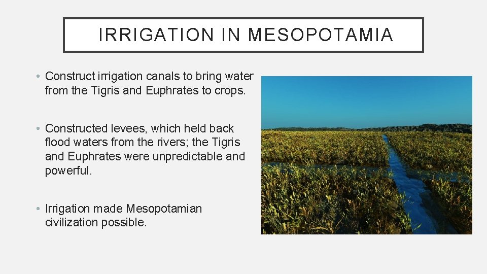 IRRIGATION IN MESOPOTAMIA • Construct irrigation canals to bring water from the Tigris and