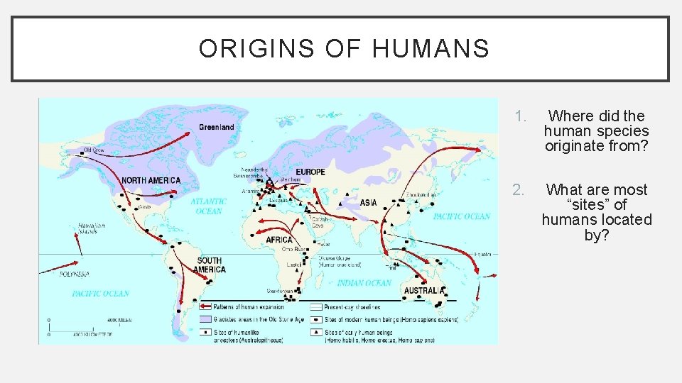 ORIGINS OF HUMANS 1. Where did the human species originate from? 2. What are