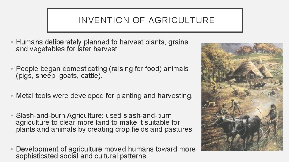 INVENTION OF AGRICULTURE • Humans deliberately planned to harvest plants, grains and vegetables for