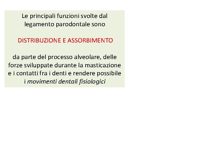 Le principali funzioni svolte dal legamento parodontale sono DISTRIBUZIONE E ASSORBIMENTO da parte del