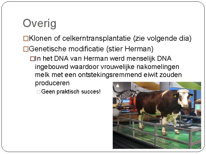 Overig �Klonen of celkerntransplantatie (zie volgende dia) �Genetische modificatie (stier Herman) �In het DNA